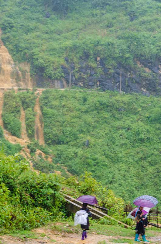 214 - Vietnam - Sapa - trekking bajo la lluvia
